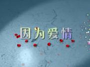 因为爱情(宽屏)-PR CS3 婚纱12
