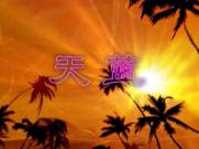 天蓝(宽屏)-PR CS3 婚纱30